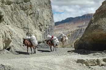 HM_Mustang-10