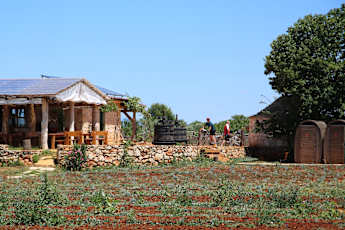 Croatia-Dalmatian-Coast-Adventure-Tour-1