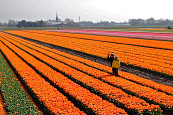 holland-biking-adventure-12