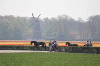 IMG_9704