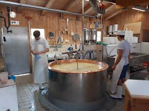 Cheese-making_Davos