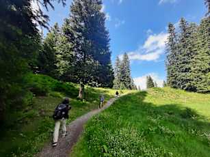 Flumserberg_hike-1