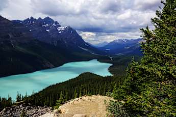 Banff-to-Jasper-Adult-8