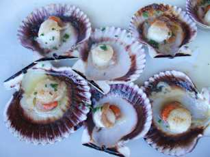 SCS-FOOD-SCALLOPS-jeremy-PA010793