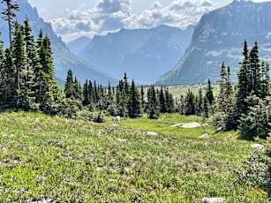 Glacier-Adult-10