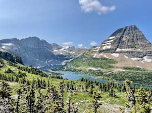 Glacier-Adult-11