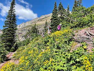 Glacier-Adult-18