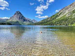 Glacier-Adult-2