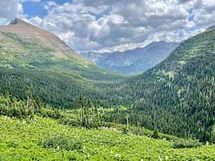 Glacier-Adult-7