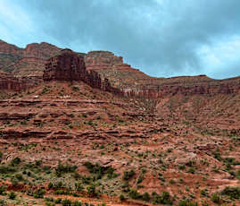 IMG_3856-Edited