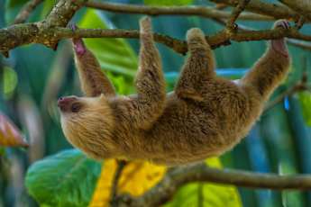 Costa-rica-adventure-15