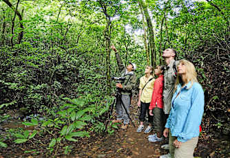 CostaRica_Adult_Jungle_Guide