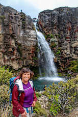 NZ_Kauri9