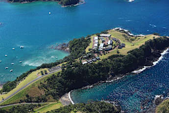 NZ_Kauri-5