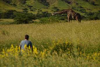 Guest-with-Giraffe