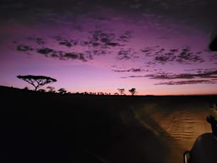 Serengeti-at-Dawn