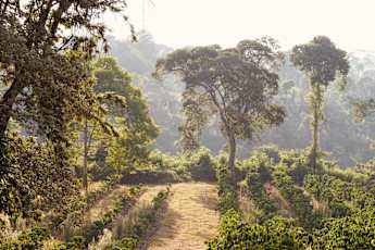 Machare-Farm