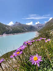 Italian-Swiss-Alps-hiking-3