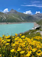Italian-Swiss-Alps-hiking-5