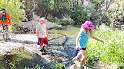 055074E6-62D5-408E-A8E9-E8FFBC11B62A-v2