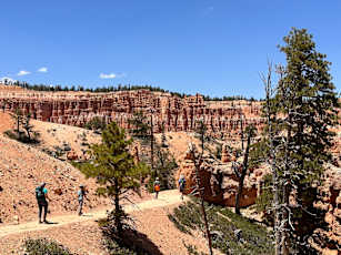 0856A2B1-2F06-44E6-A9CC-75D248D59E0B