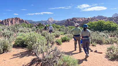 0FC21D11-E410-4D2A-99A7-63B0582A42EE