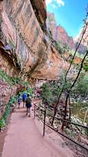 1481C84F-EC56-464C-A8E2-48748AC699D8