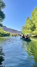 1DBE5887-8EBE-4A5D-B1E7-433A9E56524B