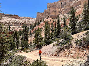 23343909-8F25-49F7-B3BF-6C54D504BFC8