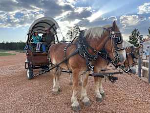 32886A21-C98F-43AB-8287-16432BA58923