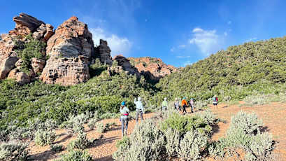 3F909CA3-413B-421D-9673-896B0658454F