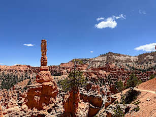 50773825-17C9-491A-986B-115BB0052D56