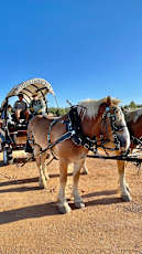 D4BC58E1-F0EB-487E-B4A0-A7EF522E23F7