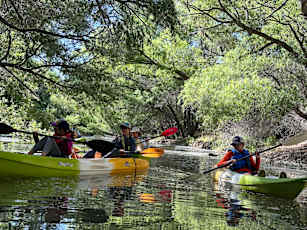 ED537C8B-5276-498C-9BC9-86CFA7024441