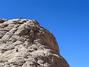 F08788A6-23CA-47DB-8CE9-1F2194E083C8