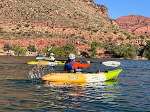 F3813F0D-7FA8-4BB3-A1FE-845D2676E378