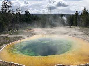 057F10D1-E858-470F-97A8-77FA74D9A9E0_1_105_c