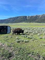 1CA0C36F-11F8-4911-8FC9-47DCB21A9012_1_105_c