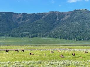 1D466470-1C9E-4FE9-87A5-81E7A31E10B6