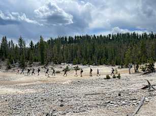 29BF97C8-1CE2-4D1E-93BF-A5CB77F9C8E4