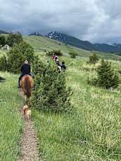 3A7E3D28-7747-479B-BFDF-78E3F712556B