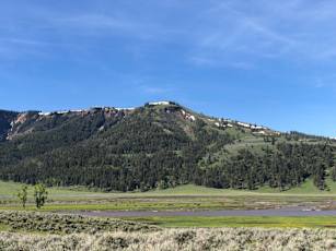 3FBE1CE5-0E35-4466-BFDD-41FFA1FE54A1_1_105_c