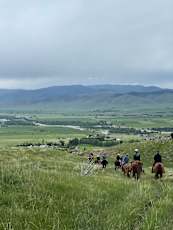 42EF4E6A-5AF8-403F-A44F-7206282CC981