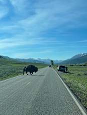 67A42A82-104D-4738-84DD-2A0D8B58F1BD_1_105_c