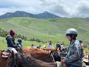 891E2275-12D0-4C0E-990F-1EC80AEF4021