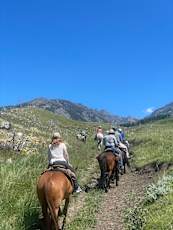 9808B62B-E0C3-4F0C-BEB2-FC8A80140C5C