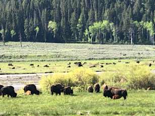 9808BEB7-67B5-4DE4-86FB-EC76D786AFC3_1_105_c