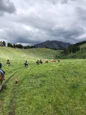 A3368B06-4363-4D45-A436-7D048DE0A53C_1_105_c