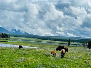 D6038B5F-8188-4DD1-873D-69B00E801568_1_105_c