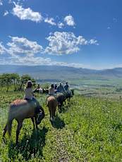 E52C342F-DDBD-4C07-84E7-75F306745B29